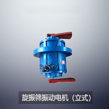 旋振篩振動電機(立式)